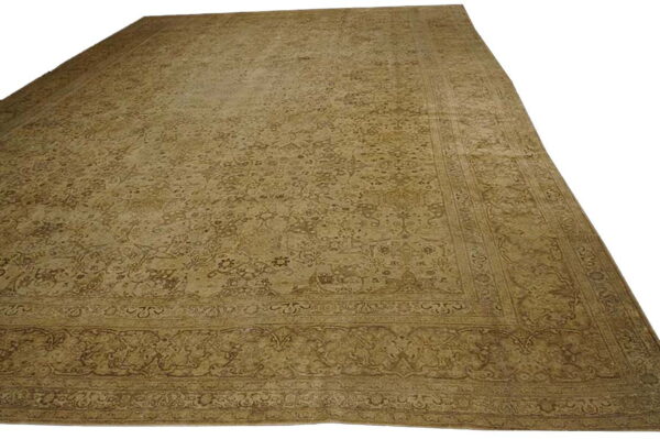 Monochromatic beige area rug with a faded traditional floral pattern and visible ornate borders.