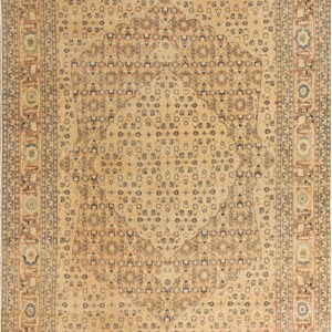 Beige traditional area rug featuring a large central medallion and intricate brown and blue floral patterns.