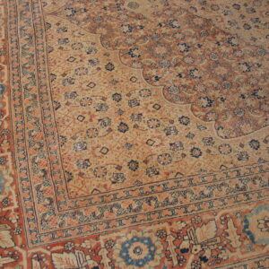 Muted traditional area rug displaying complex floral patterns in tan, terracotta, and dark blue.