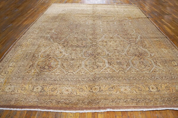 Large rug in shades of golden tan and brown with an ornate trellis pattern on hardwood flooring.