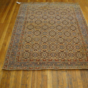 Detailed traditional rug in tan, blue, and rust tones lies flat on wide-plank rustic wood flooring.