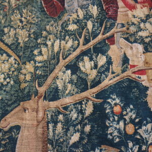 Deer among lush foliage and animals