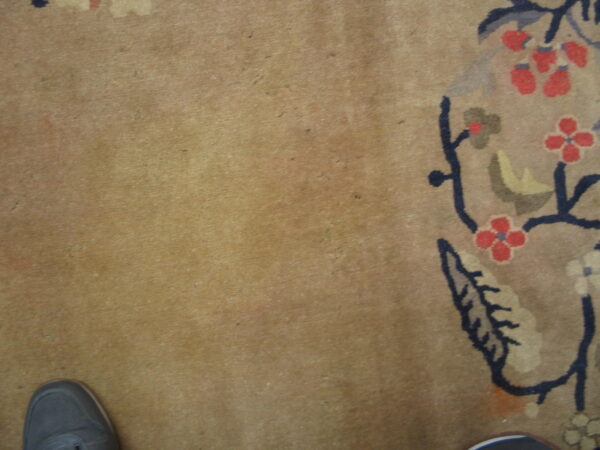 Close-up of a tan rug featuring navy vines, red flowers, and the tips of two shoes below.