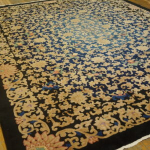 Intricate beige floral and scroll pattern rug with a navy blue center and solid black border on hardwood floors.