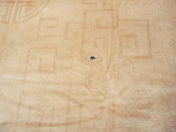 Tan plush rug detail with subtle carved geometric and scrolling patterns, plus a dark blue spot.