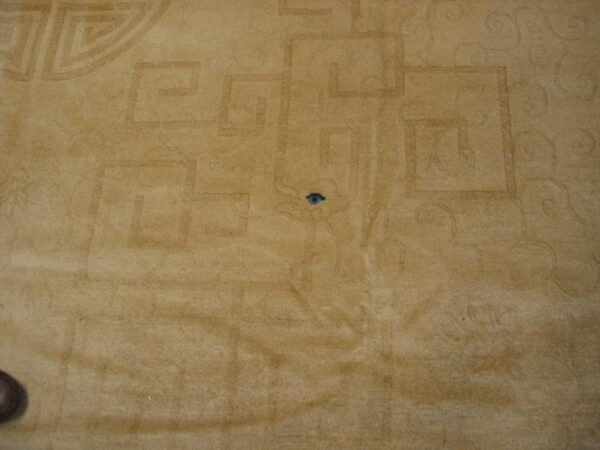 Tan plush rug with low-contrast geometric and scrolling patterns, showing a dark spot and part of a shoe.