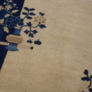 Plush beige rug with dark blue and brown floral patterns and border detail on wood flooring.