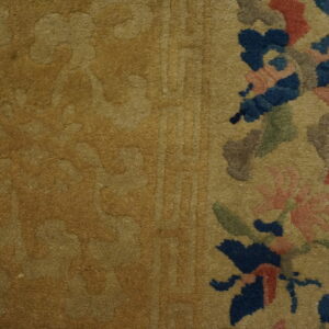 Close-up of a tan rug showing an embossed field texture and a border with blue, pink, and green flowers.