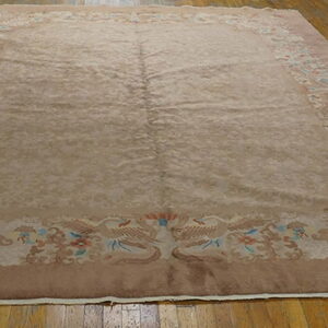 Beige and mauve rug featuring a patterned border with birds and flowers on a hardwood floor.
