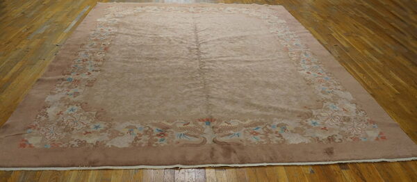 Beige and mauve rug featuring a patterned border with birds and flowers on a hardwood floor.