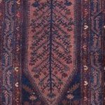 Cypress trees by rugsonnet