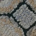 Handloomed rugs by rugsonnet