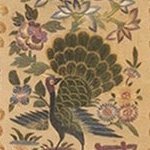 Peacock designs by rugsonnet