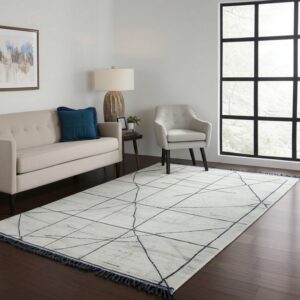 Low-pile light gray rug with subtle linear pattern in a contemporary, brightly lit room.