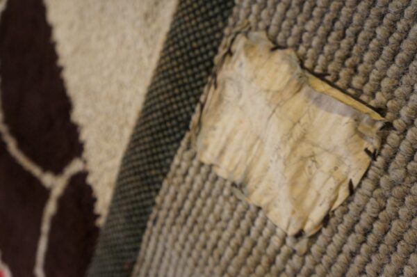 Rare antique classic european art deco design english room size carpet - image 4