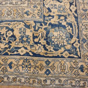 Close-up of a beige and navy blue traditional rug border detail by Rugs On Net