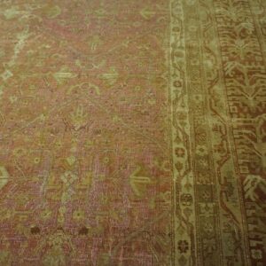 Antique Indian Agra Carpet 15'×19'6" Dusty Rose Floral, Beige Border, Circa 1890 - detail view 2
