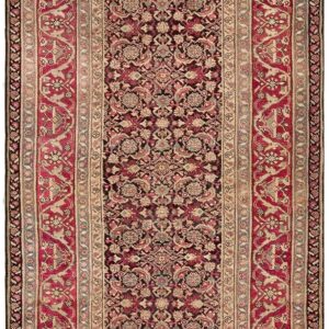 Antique Indian Agra Rug 5'×8'7" Hand-Knotted Wool, Circa 1910