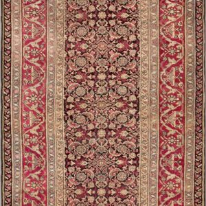 Antique Indian Agra Rug 5'×8'7" Hand-Knotted Wool, Circa 1910 - detail view 1