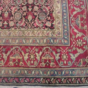 Antique Indian Agra Rug 5'×8'7" Hand-Knotted Wool, Circa 1910 - detail view 3