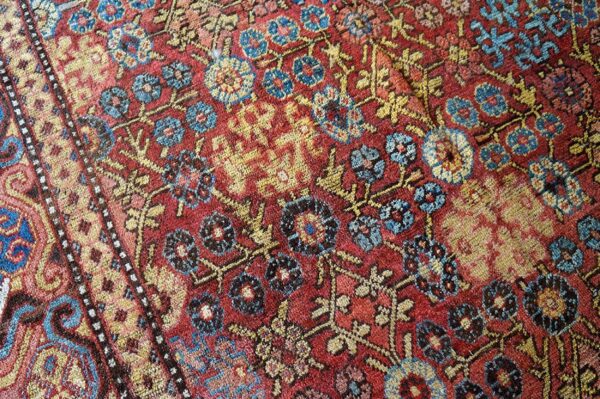 Antique khotan carpet 6'6"×11'6" persimmon & light blue, circa 1800 7 Antique khotan carpet 6'6"×11'6" persimmon & light blue, circa 1800 - detail view 6