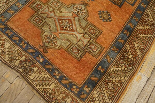 Antique n. W. Persian karajeh runner 2'10"ã—17'10" salmon & ivory long format, circa 1920 - detail view 10