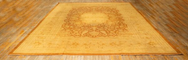 1890s antique gold open field medallion knotted wool indian agra decorative rug - detail view 1
