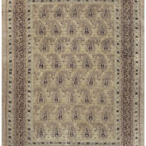 1900s Beige Paisley Floral Room Size Antique Knotted Wool Indian Agra Carpet Rug