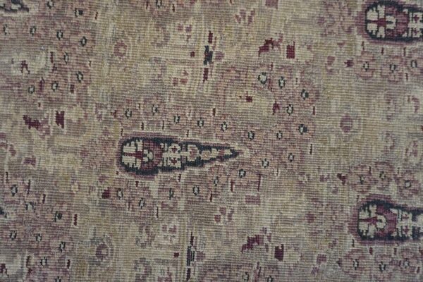 1900s beige paisley floral room size antique knotted wool indian agra carpet rug 5 1900s beige paisley floral room size antique knotted wool indian agra carpet rug - detail view 4