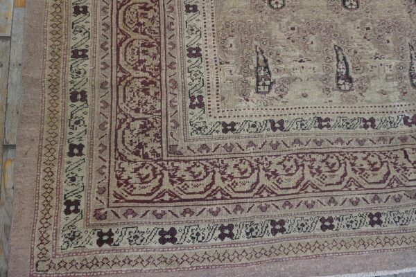 1900s beige paisley floral room size antique knotted wool indian agra carpet rug 7 1900s beige paisley floral room size antique knotted wool indian agra carpet rug - detail view 6