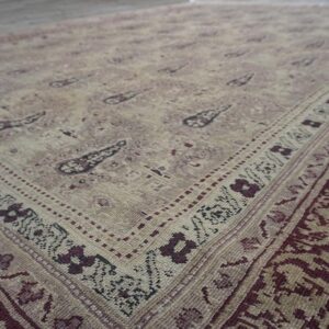 1900s Beige Paisley Floral Room Size Antique Knotted Wool Indian Agra Carpet Rug - detail view 7