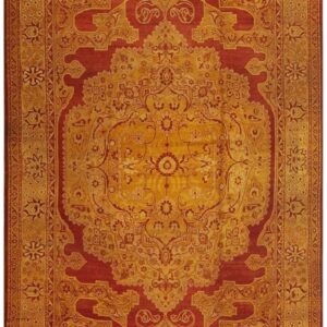 1900s Red Medallion Traditional Antique Indian Agra Knotted Wool Gallery Rug