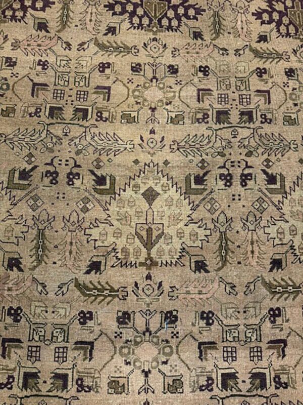 1900s camel field geometric antique amritsar indian knotted wool oversized rug 3 1900s camel field geometric antique amritsar indian knotted wool oversized rug - detail view 2
