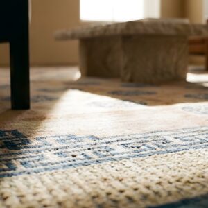 Antique Allover Geometric Wool Hand Knotted Pile Coral 1850s Rug (SKU 25340) - in-room detail