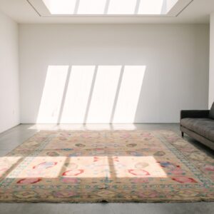 Antique Allover Tribal Pattern Indian Cotton Agra Area Rug (SKU 21032) - room view