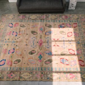 Antique Allover Tribal Pattern Indian Cotton Agra Area Rug (SKU 21032) - styled overhead view
