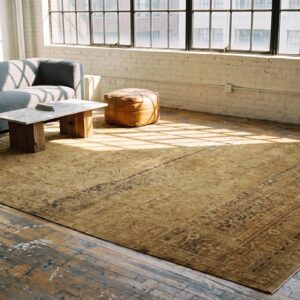 Antique Amritsar Room Size Wool Ivory Rug (SKU 20280) - room view