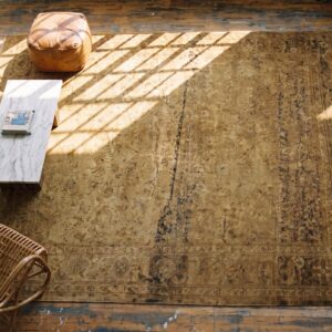 Antique Amritsar Room Size Wool Ivory Rug (SKU 20280) - styled overhead view