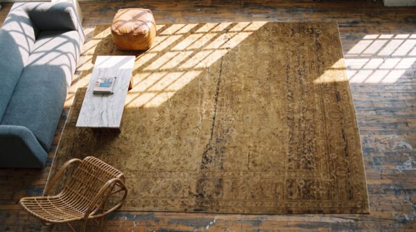 Antique amritsar room size wool ivory rug 2 Antique amritsar room size wool ivory rug (sku 20280) - styled overhead view