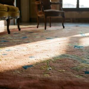 Antique Art Deco Chinese Oval Coral Area Rug - Artistic Design (SKU 24165) - in-room detail