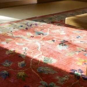 Antique Art Deco Room Size Wool Coral Allover Rug (SKU 23825) - in-room detail