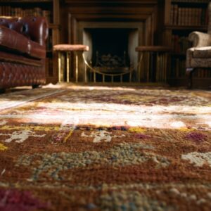Antique Artistic Animal and Geometric People Design Indian Agra Rug (SKU 20364) - in-room detail