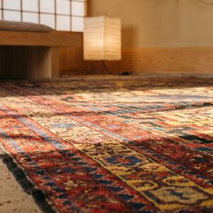 Artistic Tribal Geometric Primitive Animal Motif Antique Persian Bakhtiari Rug (SKU 19744) - in-room detail