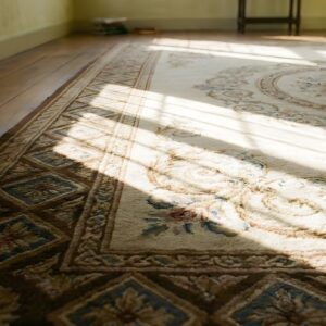 Antique Aubusson French Allover Medallion Flat Weave Rug (SKU 23924) - in-room detail