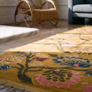 Antique Besserabian Moldova Flat Weave Rug (SKU 20814) - in-room detail