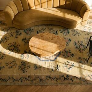 Antique Besserabian Ukraine Flat Weave Rug (SKU 25699) - styled overhead view