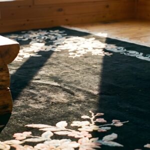 Antique Black Color Minimalist Open Field Chinese Art Deco Rug (SKU 25360) - in-room detail