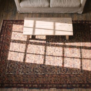 Blue , Coral Small Size Tribal Hand Knotted Antique Persian Afshar Blue and Coral Wool Pile Rug (SKU 20140) - styled overhead view