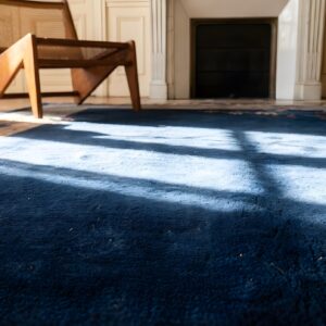 Antique Blue Field Gray Border Classic Chinese Art Deco Design Rug (SKU 23198) - in-room detail