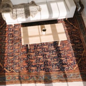 Antique Blue Paisley Pattern Square Persian Malayer Rug (SKU 24857) - styled overhead view